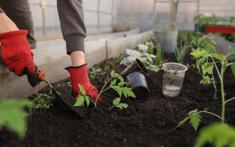 Jak wykorzystać agrowłókninę w ogrodzie?